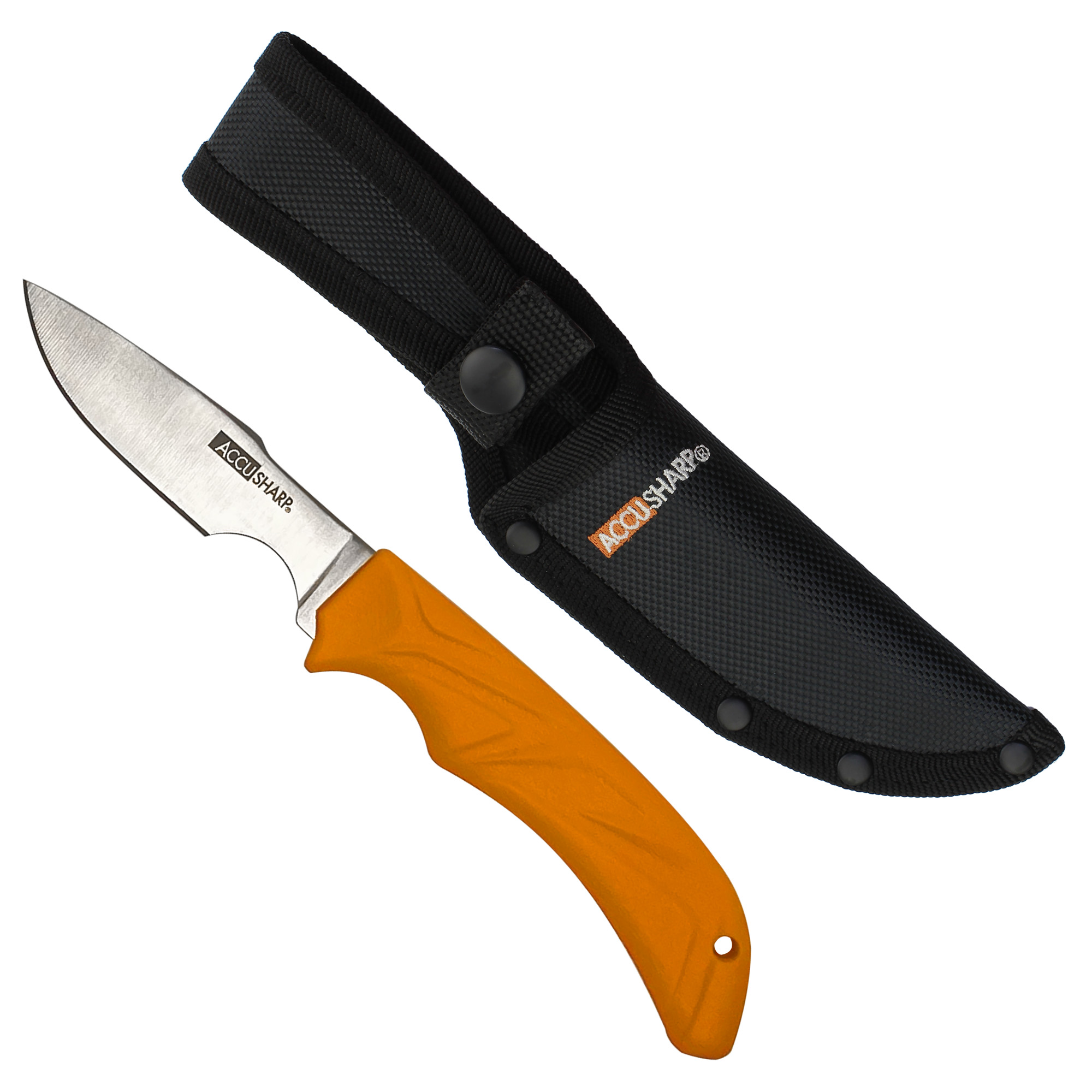 AccuSharp Caping Knife Orange W/shth Fixed Blade Knife