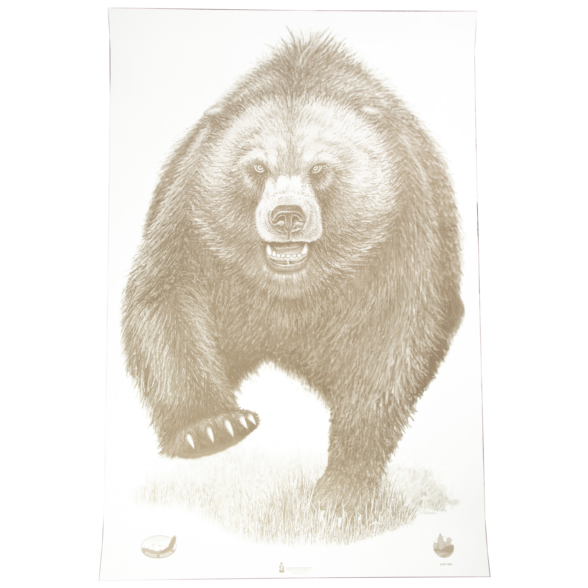Action Target Action Tgt AK State Park Bear 100PK Target