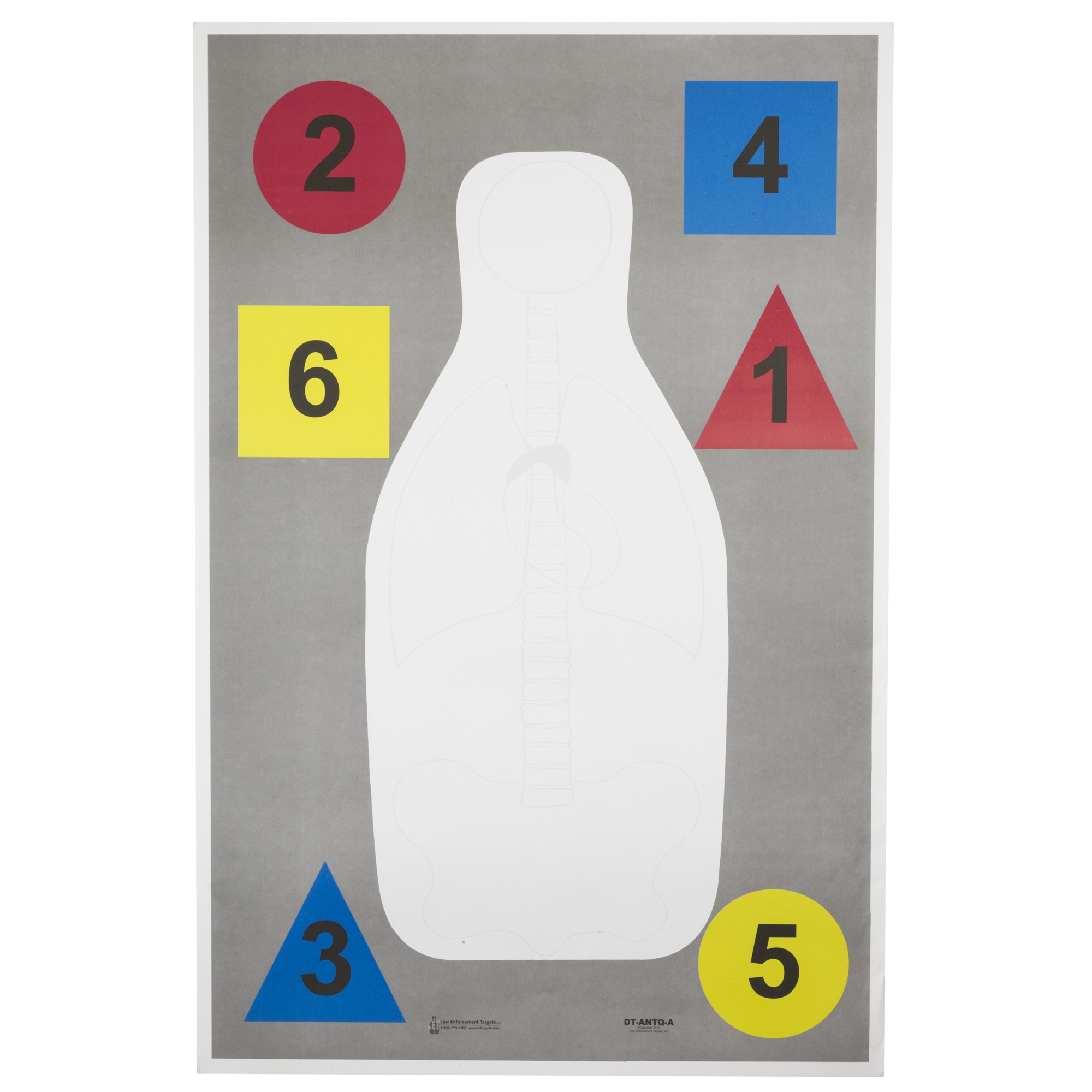 Action Target Action Tgt Dt Anatomy Multi 100PK Target