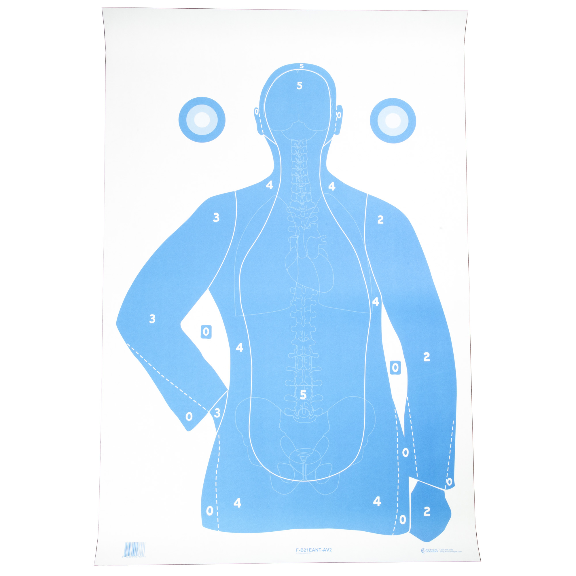 Action Target Action Tgt B-21E Vital Blue 100PK Target