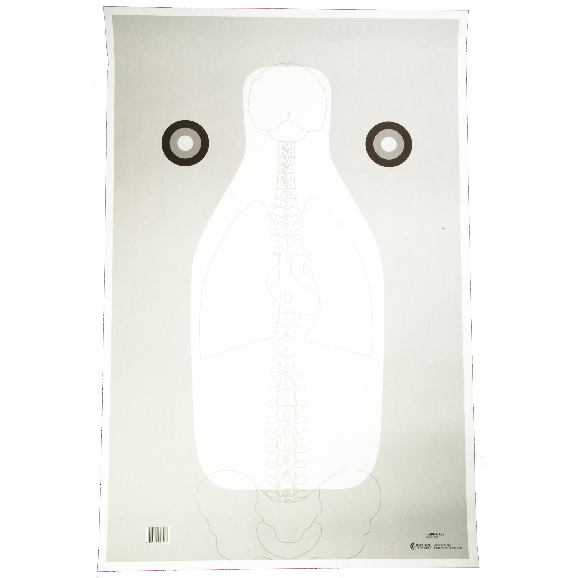 Action Target Action Tgt Fbi Vital Antm Gray 100PK Target