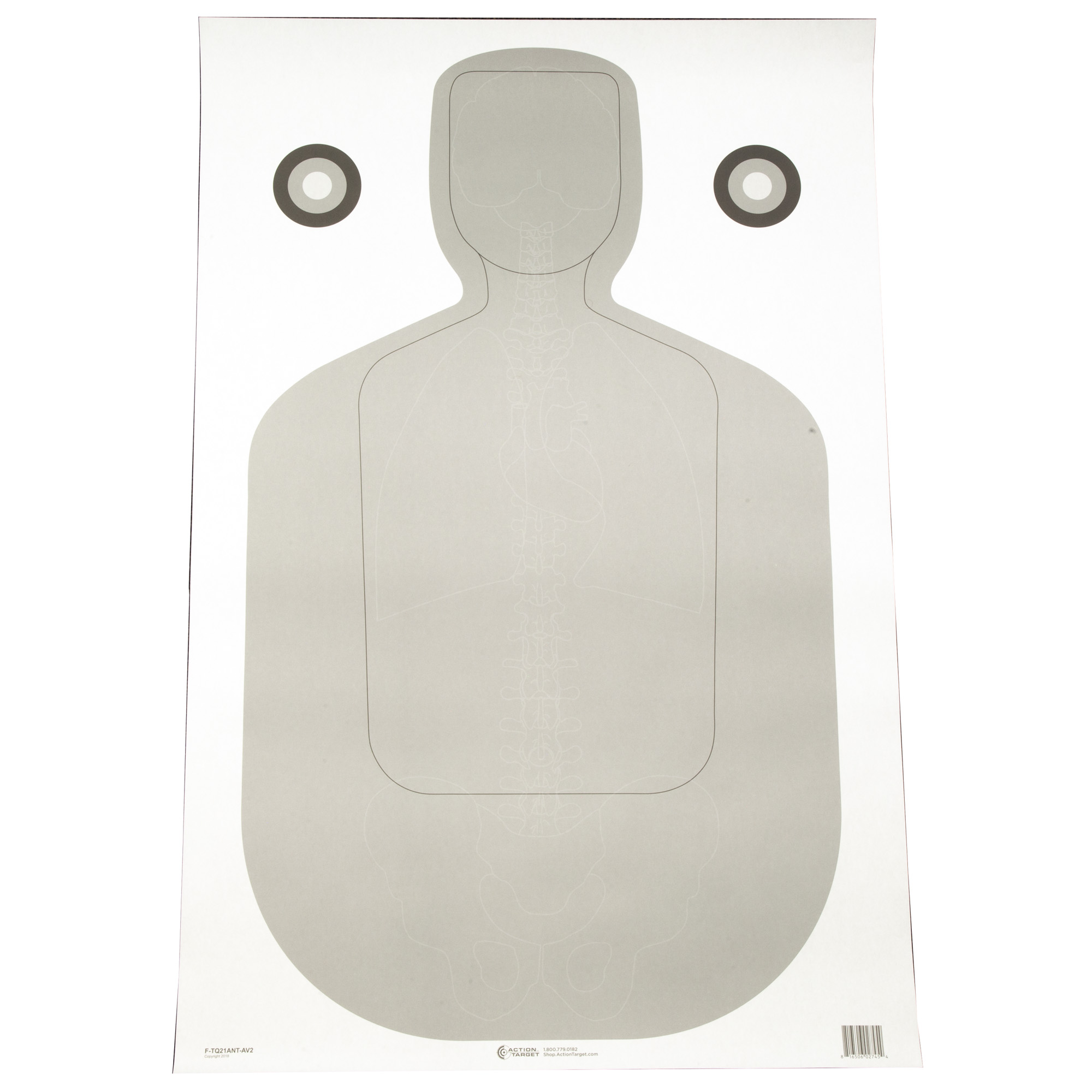 Action Target Action Tgt Qual Anatomy Grey 100PK Target