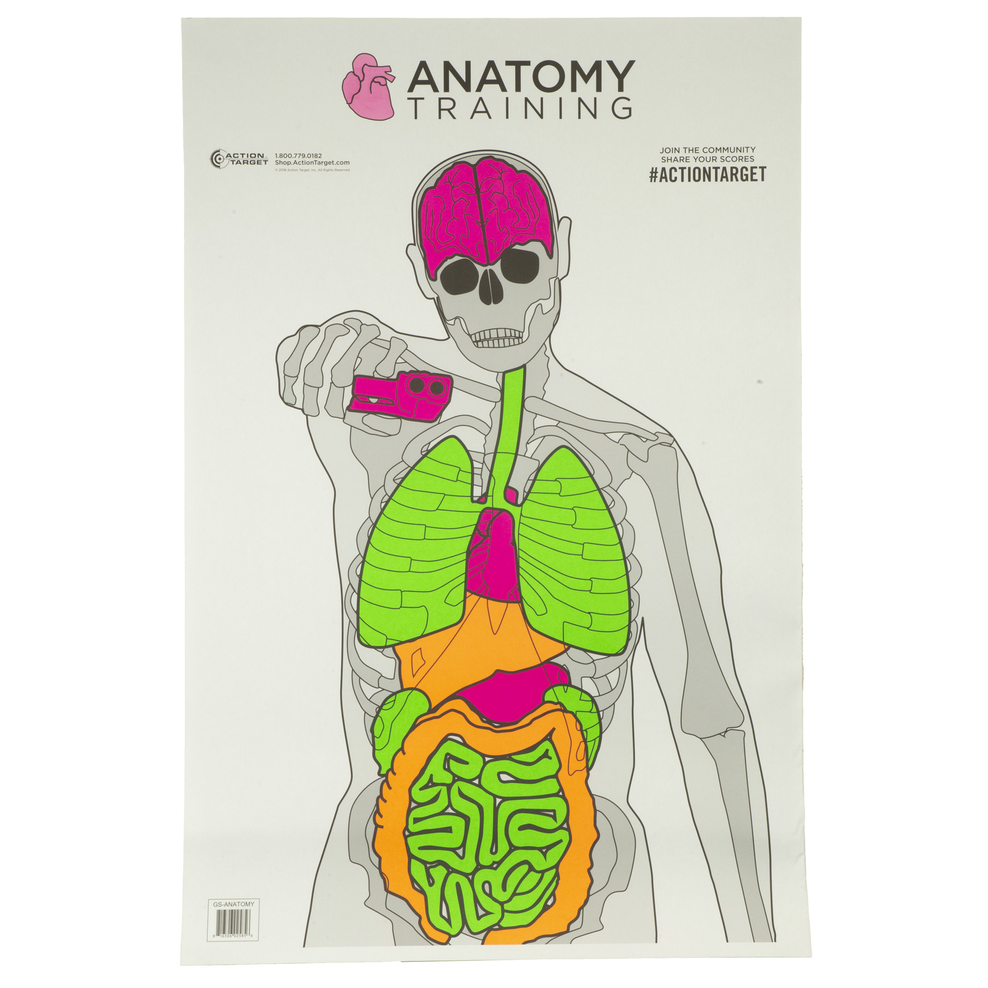Action Target Action Tgt Anatomy Trng 100PK Target