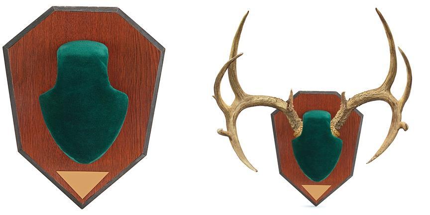 The Allen Company Inc. Allen Antler Mounting Kit - Green Skull