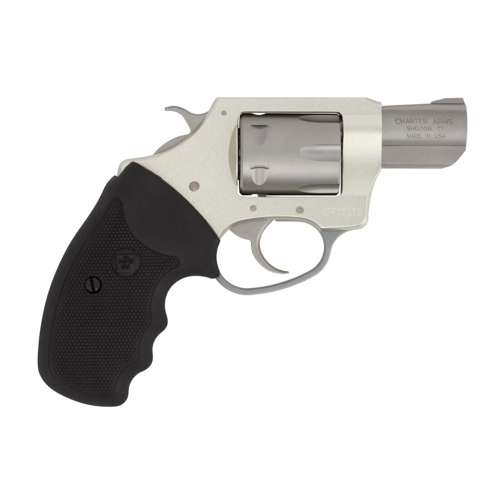 Charter Arms Charter Pathfinder .22 LR 8rd Capacity 2" Barrel Stainless Full Grip