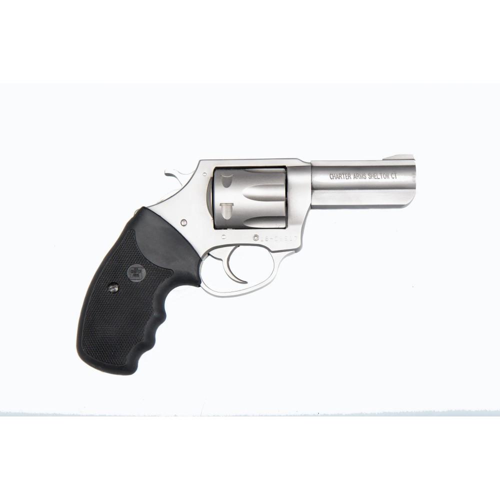 Charter Arms Charter Pit Bull Handgun .380 ACP 6rd Capacity 3" Barrel Stainless Steel