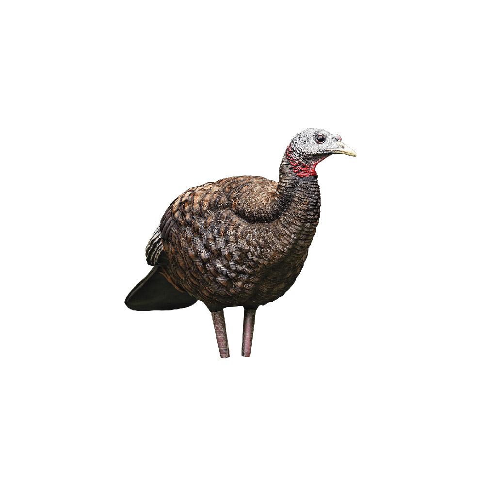 AVIAN-X LCD - Breeder Hen Turkey Decoy