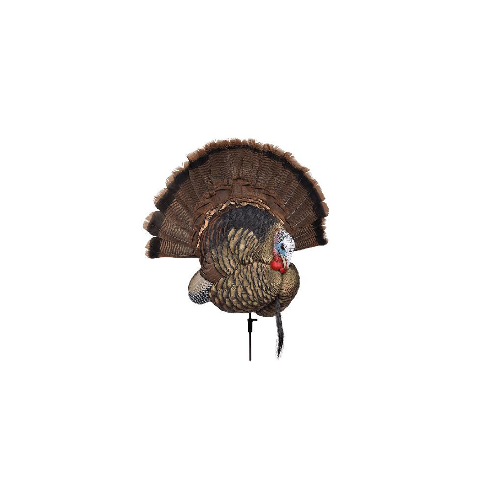 AVIAN-X Trophy Tom Turkey Decoy