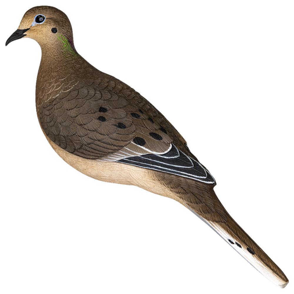 AVIAN Zink Dove Decoy Axp Full Body/ 6 Pack