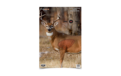 Birchwood Casey Birchwood Pregame Targets Deer 16.5"x24" 3/ct