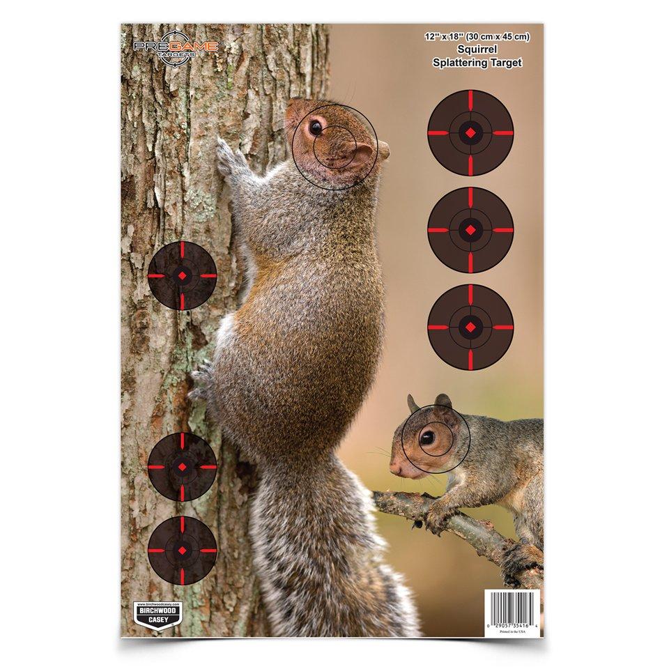 Birchwood Casey Birchwood Pregame Target - 12"x18" Squirrel 8/ct