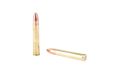 Barnes Vor-Tx Saf 458WN 450GR 20/200 Triple Shock X Barnes Vor-Tx Saf 458WN 450GR 20/200 Triple Shock X