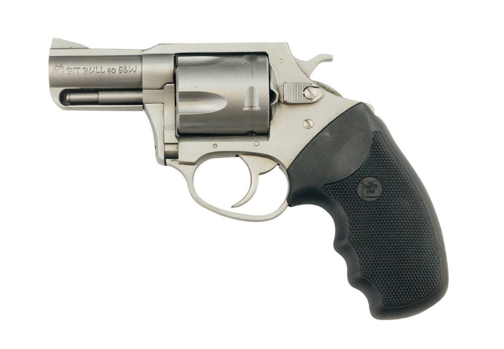 Charter Arms Charter PITBULL 40S&W Stainless 2.3" Revolver