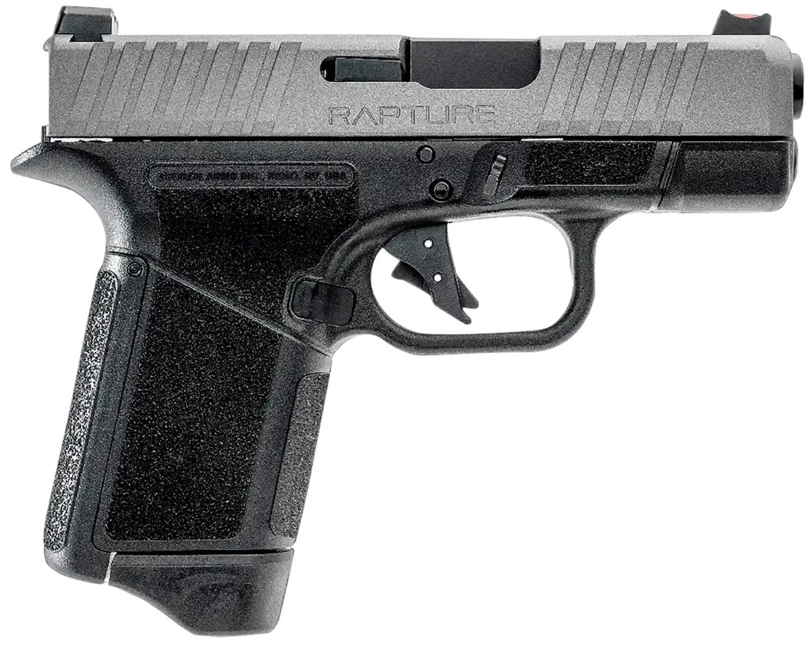 Gforce Arms Gforce Black Frame |nickel Slide Semi-Auto Pistol