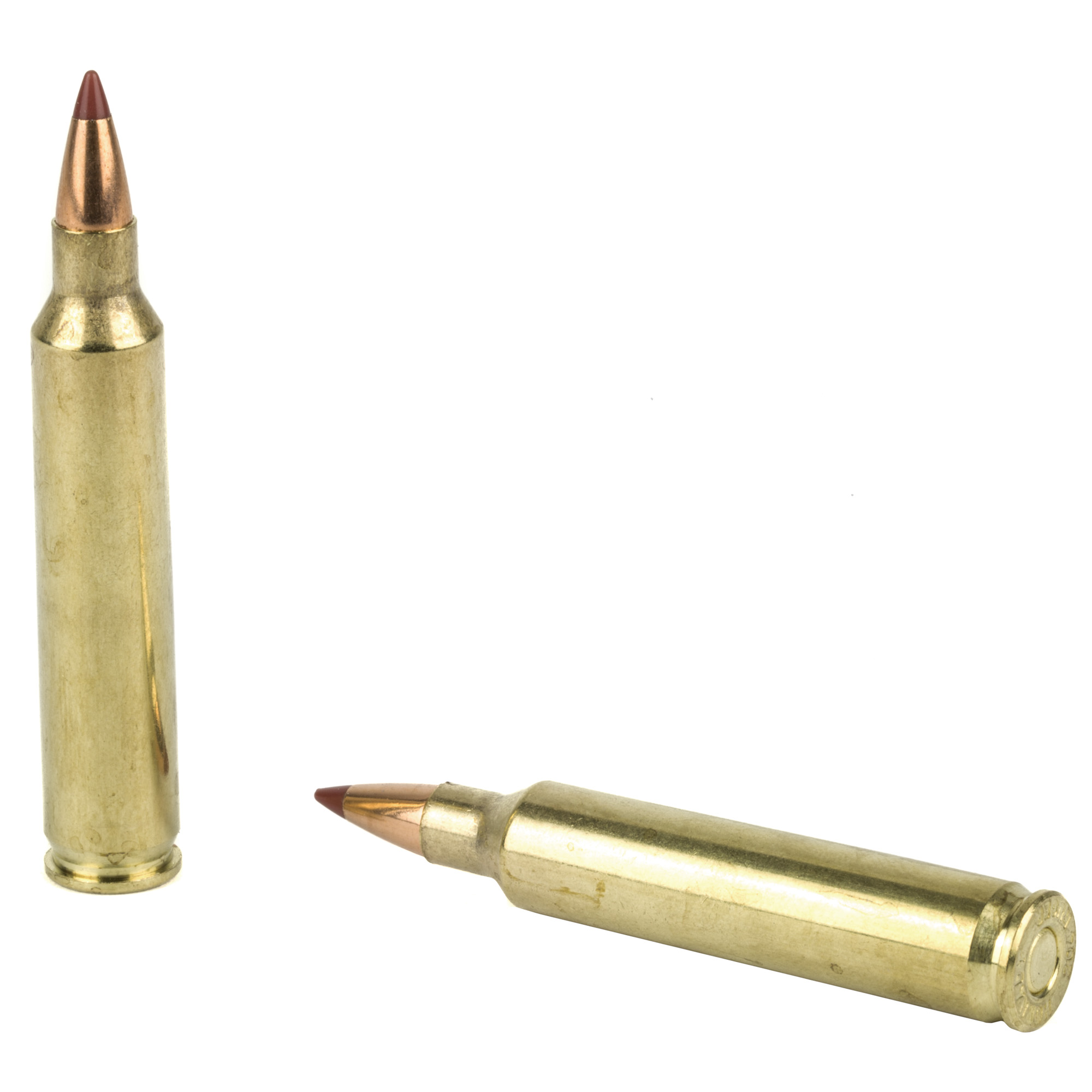 Hornady Varmint Express Rifle Ammunition .204 Ruger 24 gr NTX 4400 fps 20/ct Hornady Varmint Express Rifle Ammunition .204 Ruger 24 gr NTX 4400 fps 20/ct