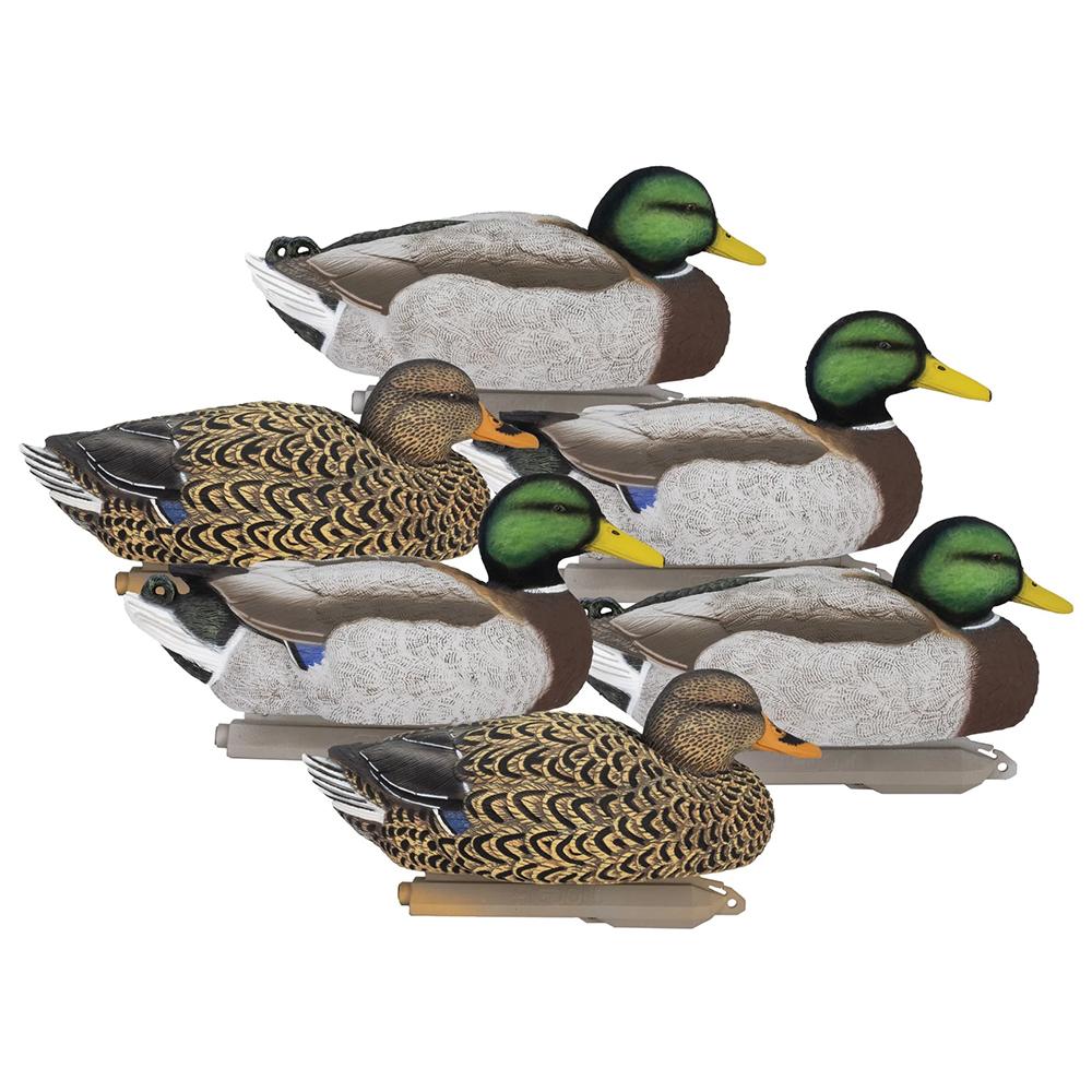 Higdon Outdoors Higdon Legacy Magnum Mallard (6pk)