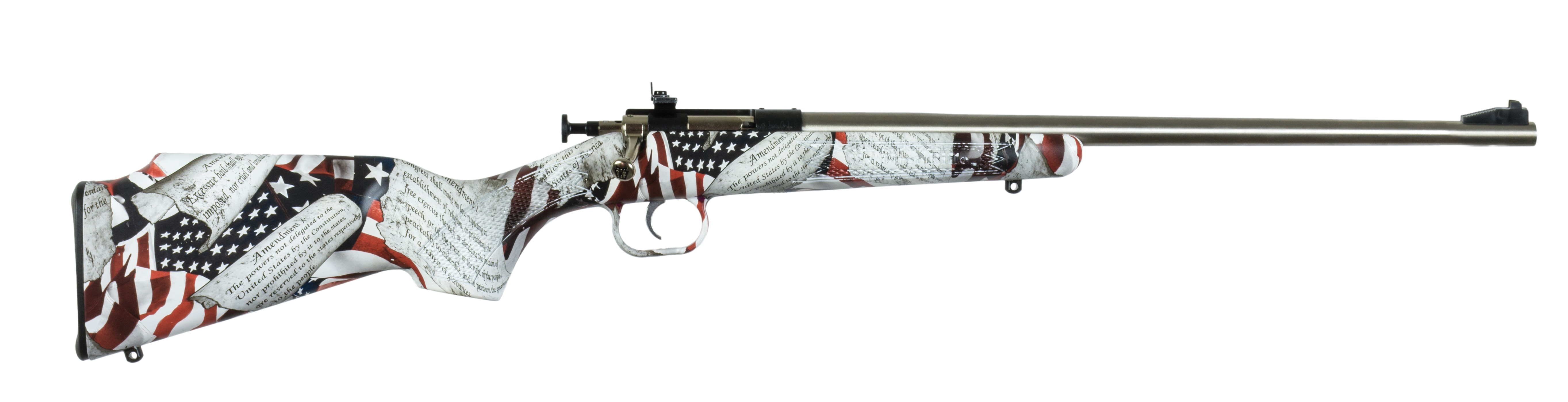 Keystone Sporting Arms Keystone Crickett 22LR Amendment Stainless