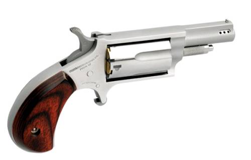 North American Arms North Mini 22MAG/22LR 1-5/8" Stainless Prtd