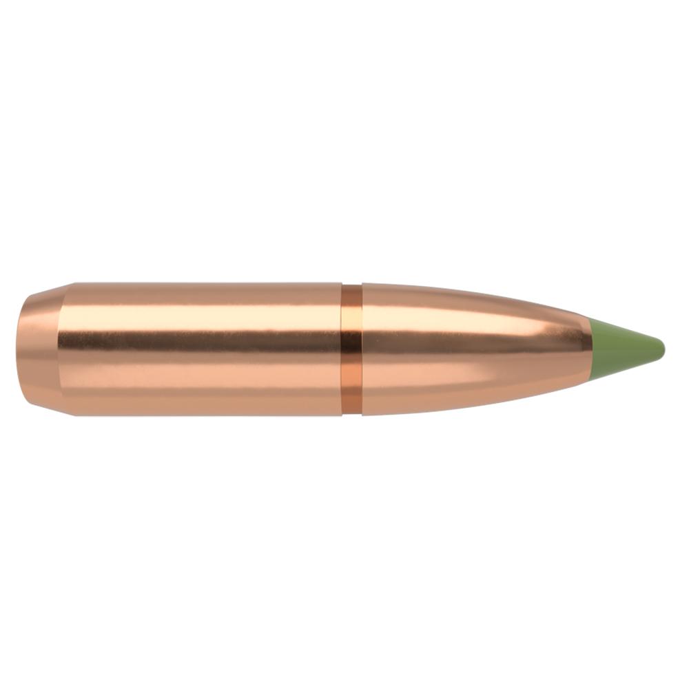 Nosler Bullets Inc. Nosler E-Tip Lead-Free Hunting Rifle Bullets .30 cal .308 180 gr SPTZ E-TIP 50/ct
