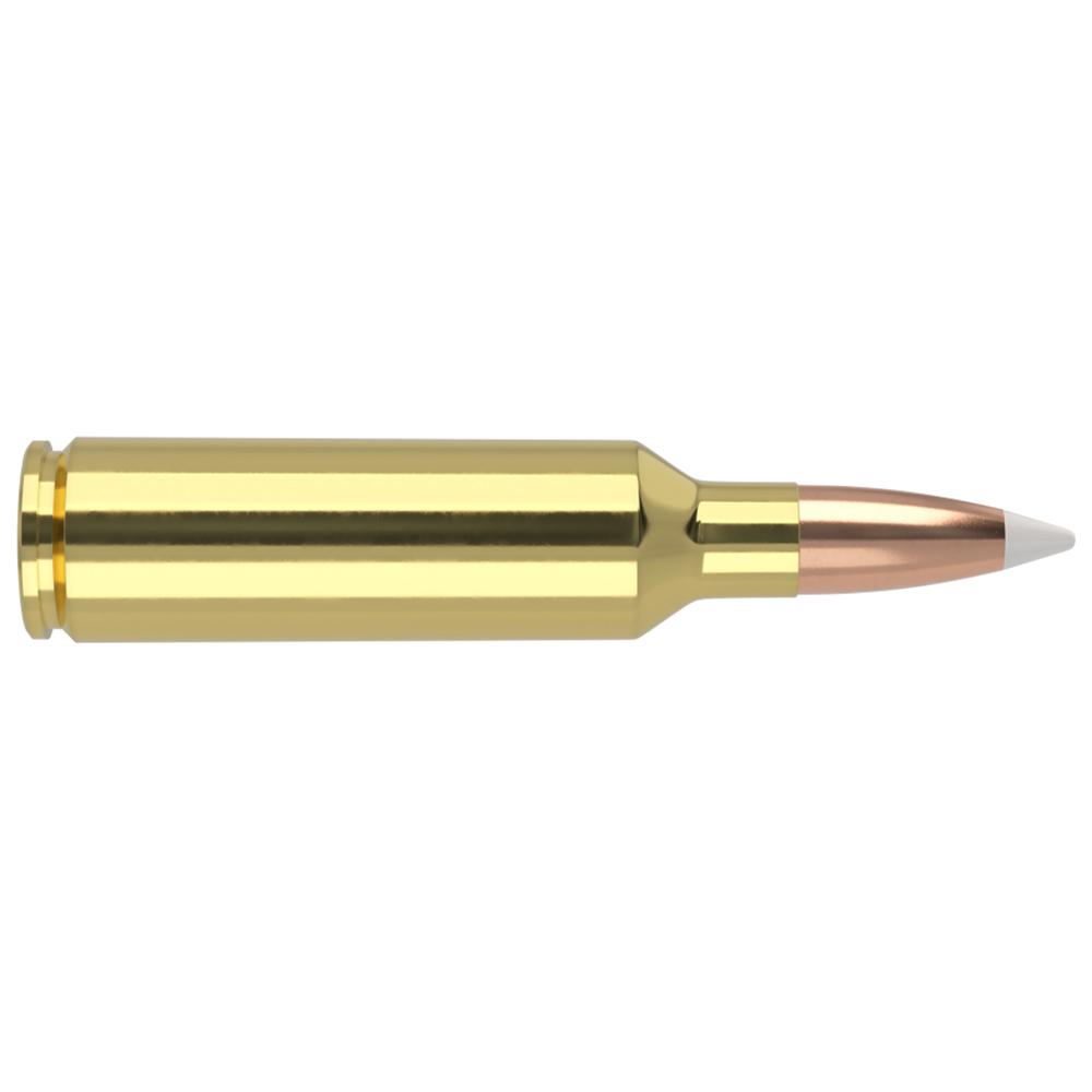 Nosler Bullets Inc. Nosler Accubond Trophy Grade Rifle Ammunition .270 WSM 140 gr PT 3100 fps 20/ct