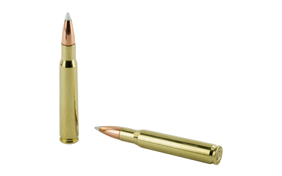 Nosler Trophy Grade Rifle Ammunition .30-06 Sprg 165 gr AB 2950 fps 20/ct Nosler Trophy Grade Rifle Ammunition .30-06 Sprg 165 gr AB 2950 fps 20/ct