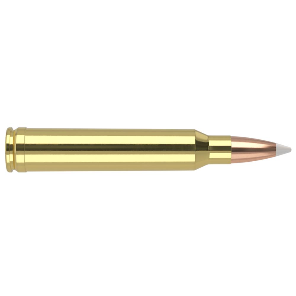 Nosler Bullets Inc. Nosler 300WIN 180GR Ab 20/200 AccuBond