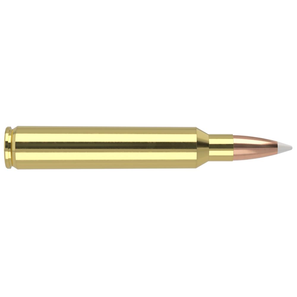Nosler Bullets Inc. Nosler Accubond Trophy Grade Rifle Ammunition .300 RUM 180 gr PT 3250 fps 20/ct