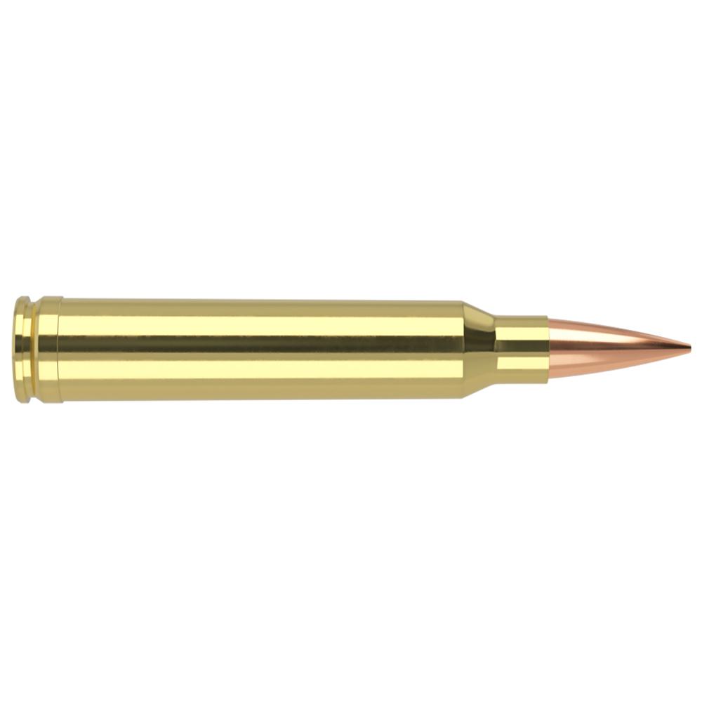 Nosler Bullets Inc. Nosler Accubond Long Range Trophy Grade Rifle Ammunition .300 WSM 190 gr PT 2875 fps 20/ct