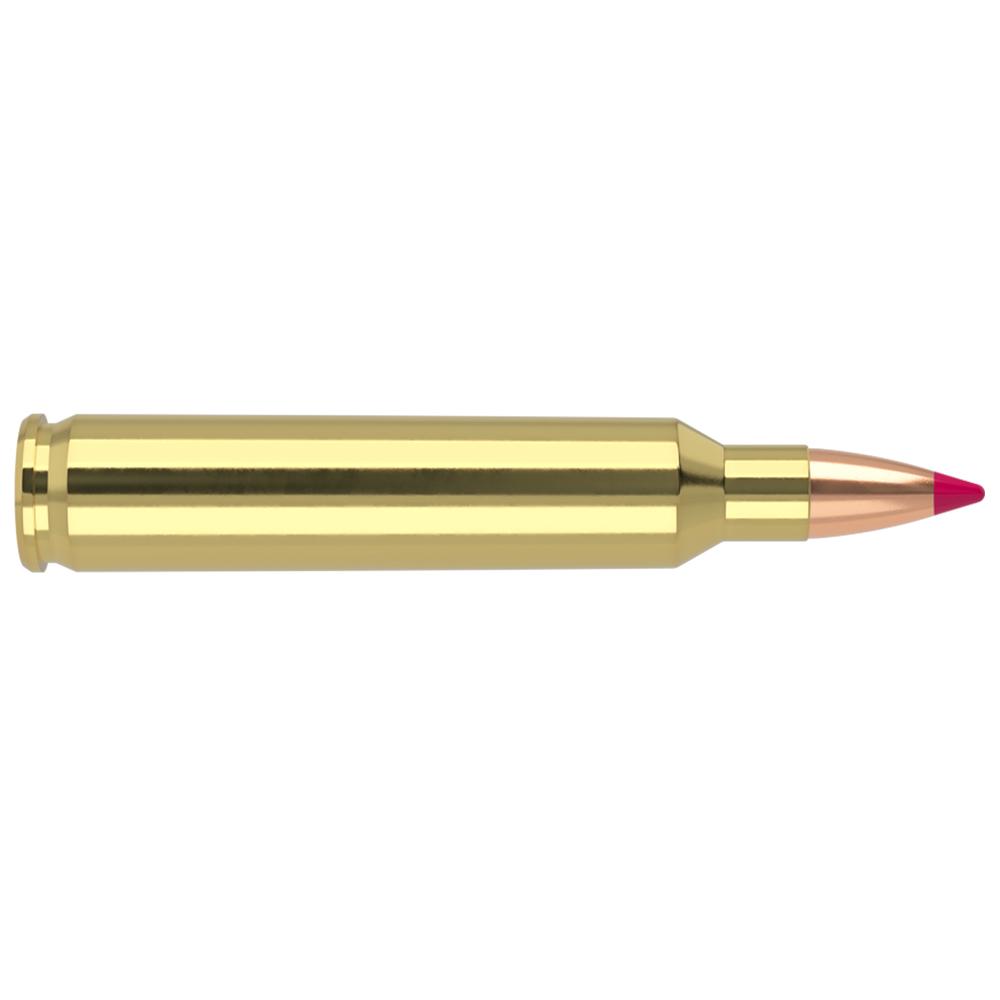 Nosler Bullets Inc. Nosler Ballistic Tip Varmint Rifle Ammunition .204 Ruger 40 gr PT 3625 fps 20/ct