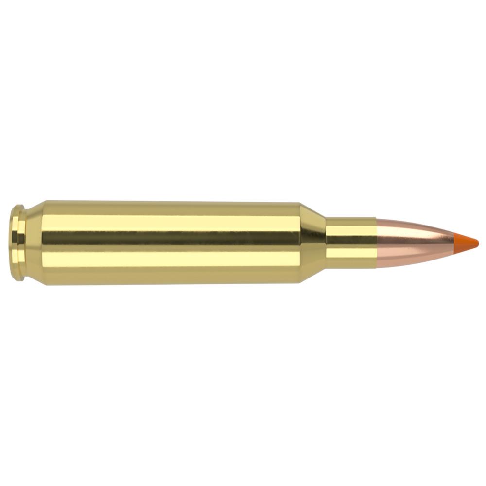 Nosler Bullets Inc. Nosler 22NOS 55GR Bt 20/200 Ballistic Tip