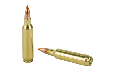 Nosler 22NOS 55GR Bt 20/200 Ballistic Tip Nosler 22NOS 55GR Bt 20/200 Ballistic Tip