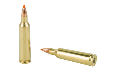 Nosler 22-250 55GR BT 20/200 Ballistic Tip Nosler 22-250 55GR BT 20/200 Ballistic Tip