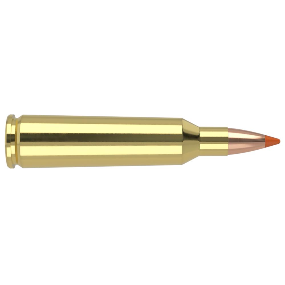 Nosler Bullets Inc. Nosler Lead Free Ballistic Tip Varmint Rifle Ammunition .22-250 Rem 40 gr PT 3950 fps