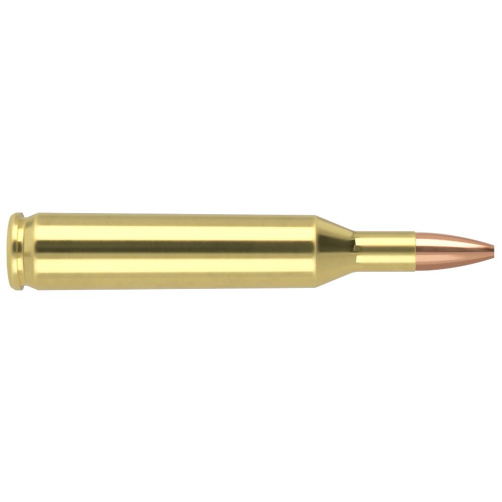 Nosler Bullets Inc. Nosler Varmegeddon Rifle Ammunition .17 Rem 20 gr FBHP 3550 fps 20/ct