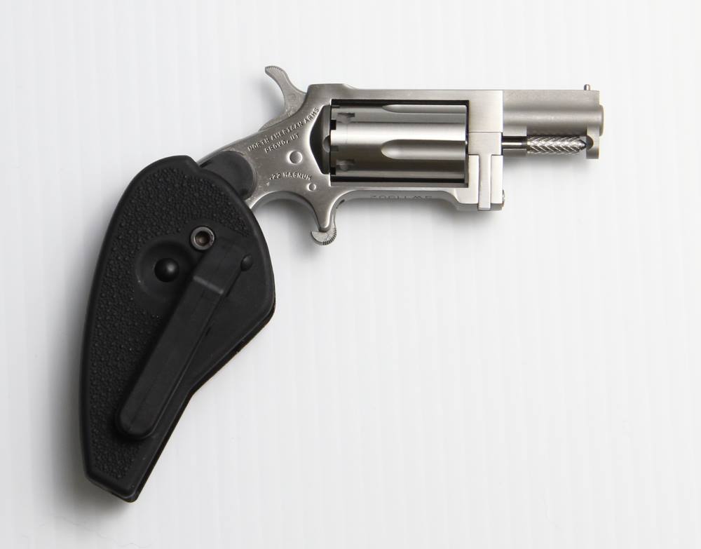 North American Arms North Naa-Sw-Hg | Holster/grip Combo Revolver