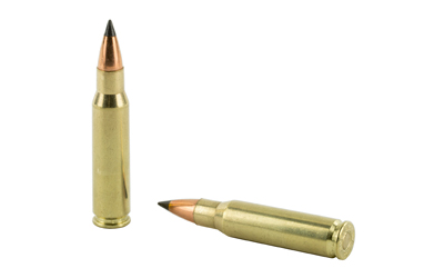 Nosler Varmegeddon Rifle Ammunition .308 Win 110 gr FB Tipped 3150 fps 20/ct Nosler Varmegeddon Rifle Ammunition .308 Win 110 gr FB Tipped 3150 fps 20/ct