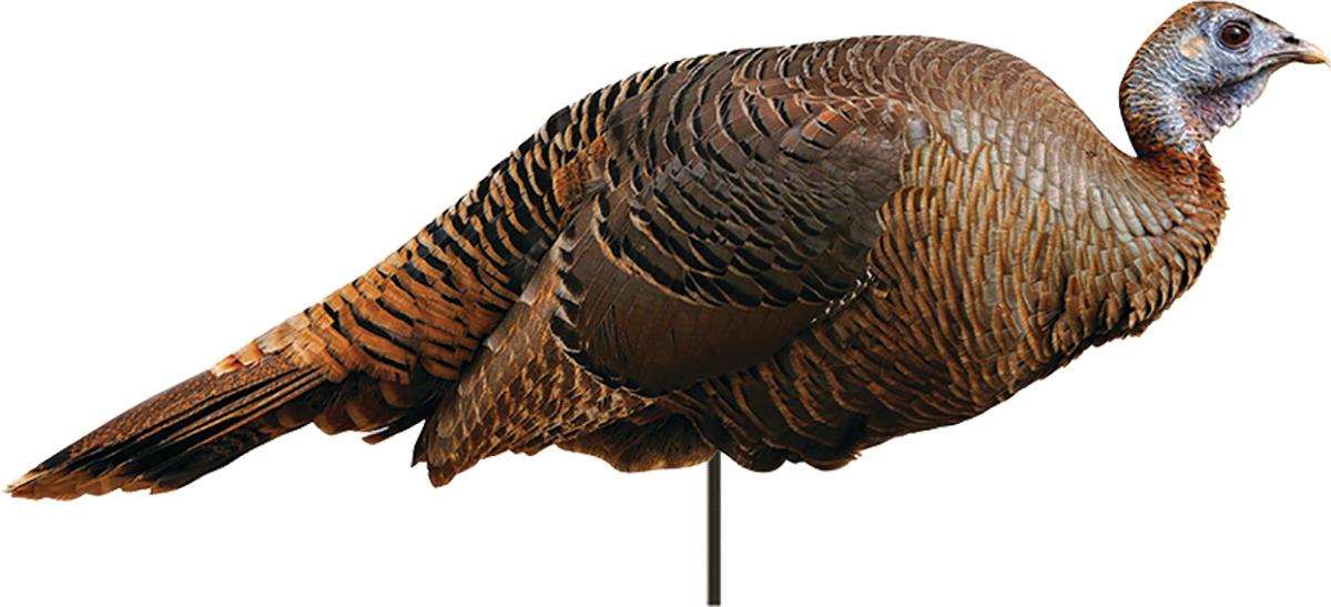 Montana Decoy Co. Montana Decoy Co Spring Fling Hen Decoy