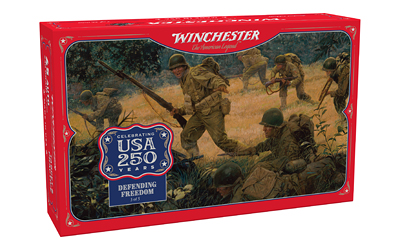 Winchester Ammunition Winchester USA 250TH 45ACP 230GR Fmj 50/300