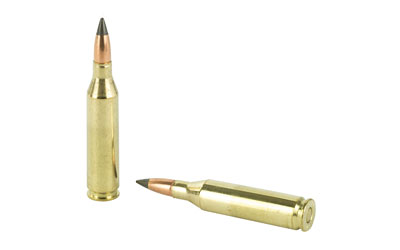 Winchester Deer Season XP Rifle Ammunition 243 Win 95 gr Winchester Deer Season XP Rifle Ammunition 243 Win 95 gr