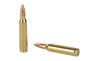 Fiocchi Rifle Shooting Dynamics Rifle Ammunition .223 Rem 62 gr FMJBT 3000 fps 50/rd Fiocchi Rifle Shooting Dynamics Rifle Ammunition .223 Rem 62 gr FMJBT 3000 fps 50/rd