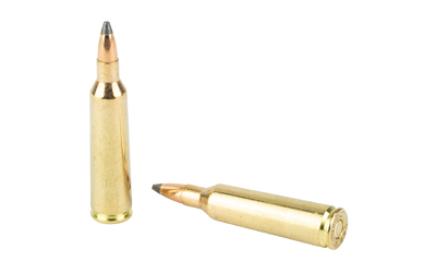 Sellier & Bellot Rifle Ammunition .22-250 Rem 55 gr SP 20/ct Sellier & Bellot Rifle Ammunition .22-250 Rem 55 gr SP 20/ct
